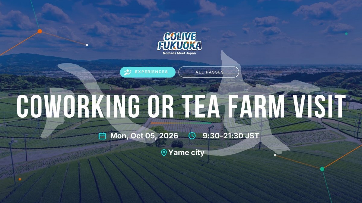 One Day Trip | Yame City - Town Walk or Tea Farm Visit